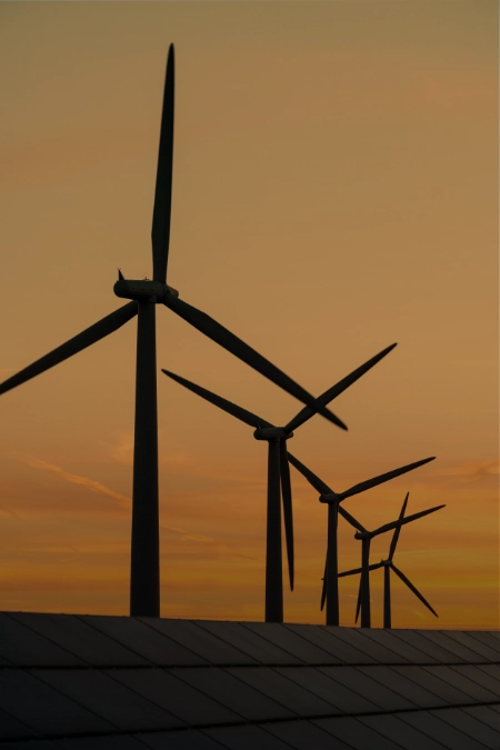 Google Ads Energías Renovables